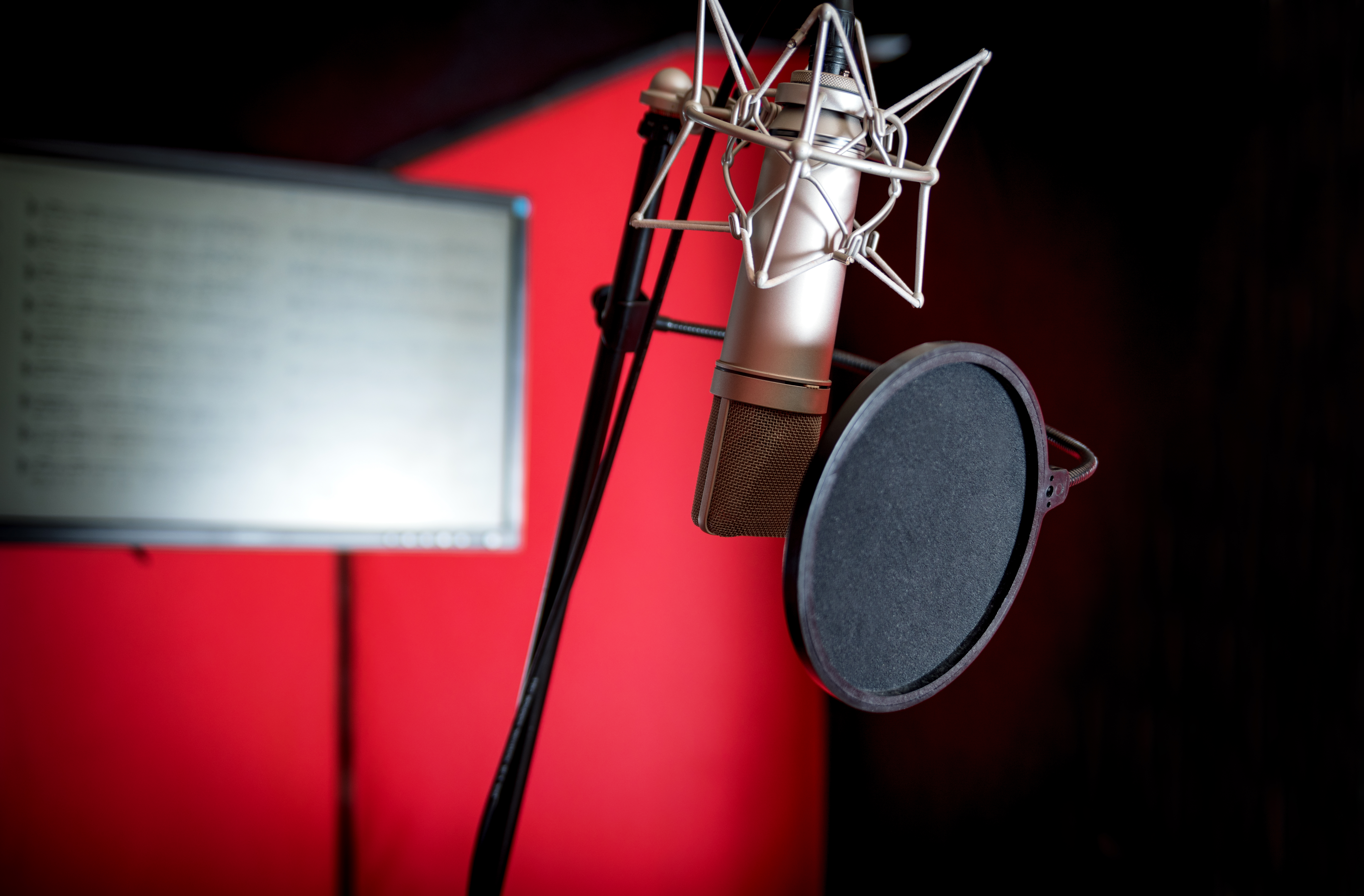 Professional Voice over