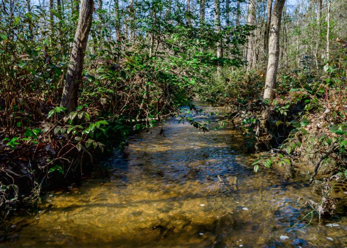 Langford Road 14 Acres - 0003